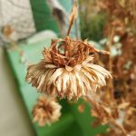 Recenzja Xiaomi Mi Mix 2: Xiaomi zdecydowanie odrobiło pracę domową! 50 Recenzja Xiaomi Mi Mix 2: Xiaomi zdecydowanie odrobiło pracę domową!