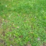 Recenzja Xiaomi Mi Mix 2: Xiaomi zdecydowanie odrobiło pracę domową! 52 Recenzja Xiaomi Mi Mix 2: Xiaomi zdecydowanie odrobiło pracę domową!