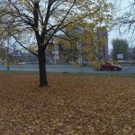 Kamera sportowa od Xiaomi czyli Mijia 4K - recenzja 24 xiaomi mijia 4k (24)