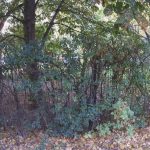 Kamera sportowa od Xiaomi czyli Mijia 4K - recenzja 21 xiaomi mijia 4k (27)