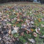 Xiaomi Mijia 4K vs Yi 4K vs Yi 2K - porównanie kamer! 25 yi 4k vs yi 2k vs xiaomi mijia 4k (12)