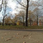 Xiaomi Mijia 4K vs Yi 4K vs Yi 2K - porównanie kamer! 24 yi 4k vs yi 2k vs xiaomi mijia 4k (13)