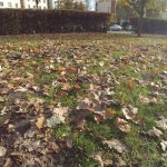 Xiaomi Mijia 4K vs Yi 4K vs Yi 2K - porównanie kamer! 21 yi 4k vs yi 2k vs xiaomi mijia 4k (16)