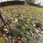 Xiaomi Mijia 4K vs Yi 4K vs Yi 2K - porównanie kamer! 17 yi 4k vs yi 2k vs xiaomi mijia 4k (20)