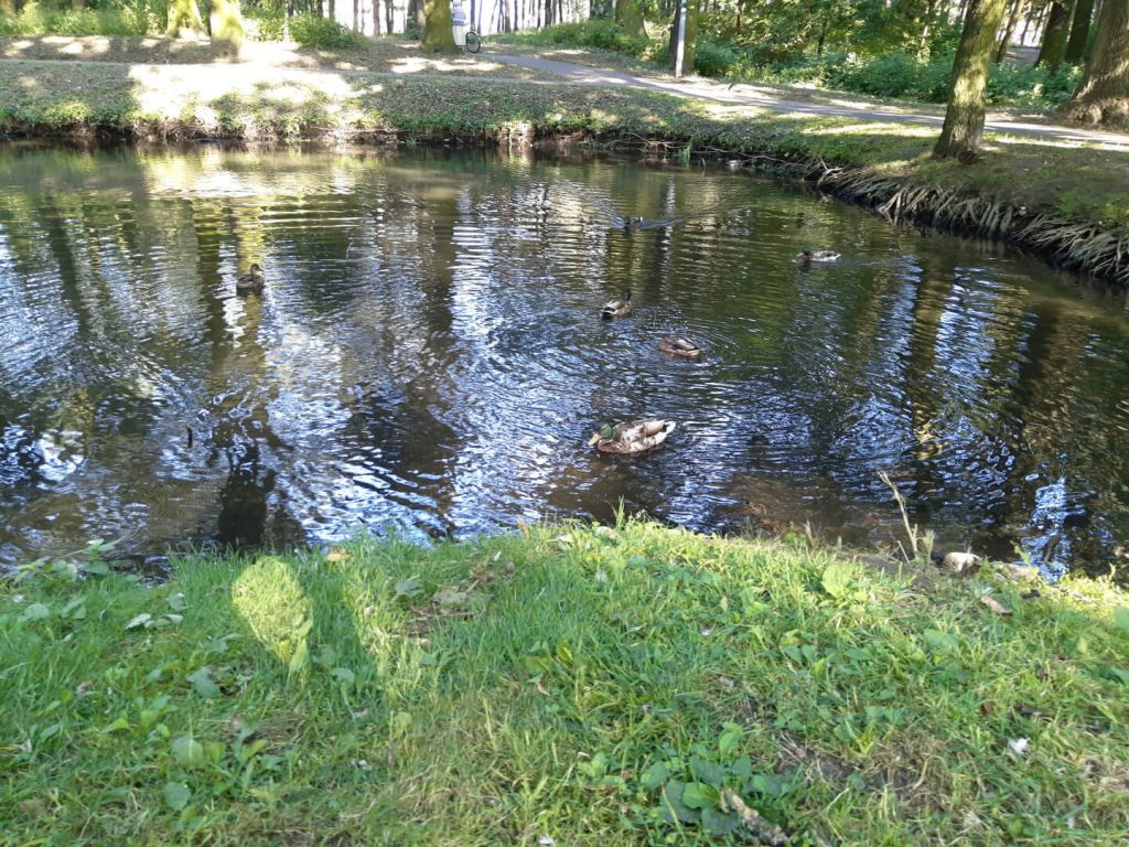 Recenzja Meizu M6s - świetnego modelu, którym niebiescy chcą powrócić na nasz rynek 52 Meizu m6s zdjęcie