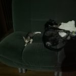 Recenzja Honor View 10 - świetnego telefonu, który niestety nie pojawił się w Polsce 38 zdjecie-honor-v-10-1