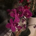 Recenzja Honor View 10 - świetnego telefonu, który niestety nie pojawił się w Polsce 36 zdjecie-honor-v-10-3