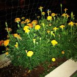 Recenzja AGM X2 SE. Ten telefon pokazuje, że rugged może wyglądać 28 agm-x2-se-zdjecia-5