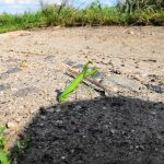 Recenzja Honor Play. To telefon nie tylko dla graczy 27 zdjecia-honor-play-1