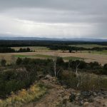 Recenzja Honor Play. To telefon nie tylko dla graczy 31 zdjecia-honor-play-5