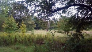 Recenzja Blackview A7: podwójny aparat w telefonie za 240 PLN! 30 Blackview A7