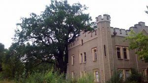 Recenzja Blackview A7: podwójny aparat w telefonie za 240 PLN! 34 Blackview A7