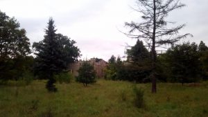 Recenzja Blackview A7: podwójny aparat w telefonie za 240 PLN! 35 Blackview A7