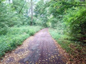 Recenzja Blackview A7: podwójny aparat w telefonie za 240 PLN! 49 Blackview A7