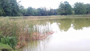 Recenzja Blackview A7: podwójny aparat w telefonie za 240 PLN! 53 Blackview A7