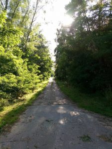 HOMTOM HT10 – skaner siatkówki w budżetowcu! 29 Homtom HT10