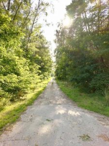 HOMTOM HT10 – skaner siatkówki w budżetowcu! 30 Homtom HT10