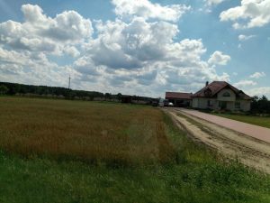 HOMTOM HT10 – skaner siatkówki w budżetowcu! 39 Homtom HT10