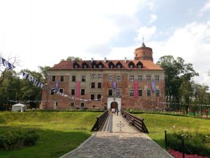 HOMTOM HT10 – skaner siatkówki w budżetowcu! 41 Homtom HT10