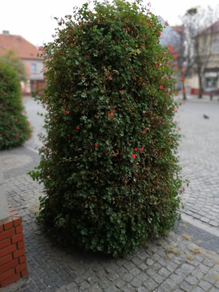 Recenzja Huawei Mate 20 Lite – eleganckiego średniaka od Chińczyków 46 mate 20 lite zdjęcie