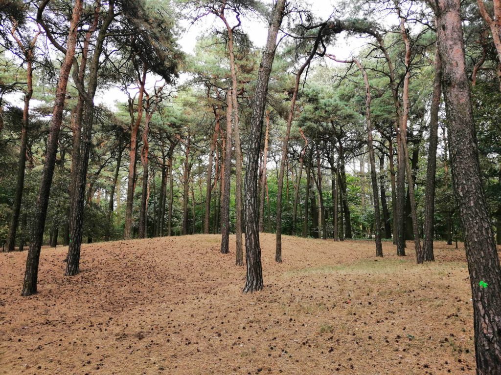 Recenzja Huawei Mate 20 Lite – eleganckiego średniaka od Chińczyków 30 mate 20 lite zdjęcie