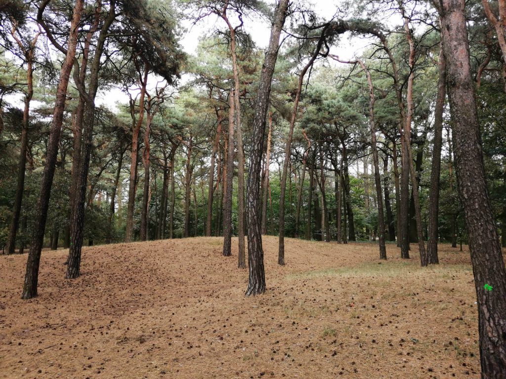 Recenzja Huawei Mate 20 Lite – eleganckiego średniaka od Chińczyków 29 mate 20 lite zdjęcie