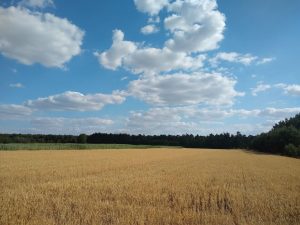 Recenzja Moto G6 – to naprawdę ładny telefon 27 Moto G6