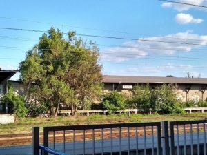 Recenzja Moto G6 – to naprawdę ładny telefon 28 Moto G6