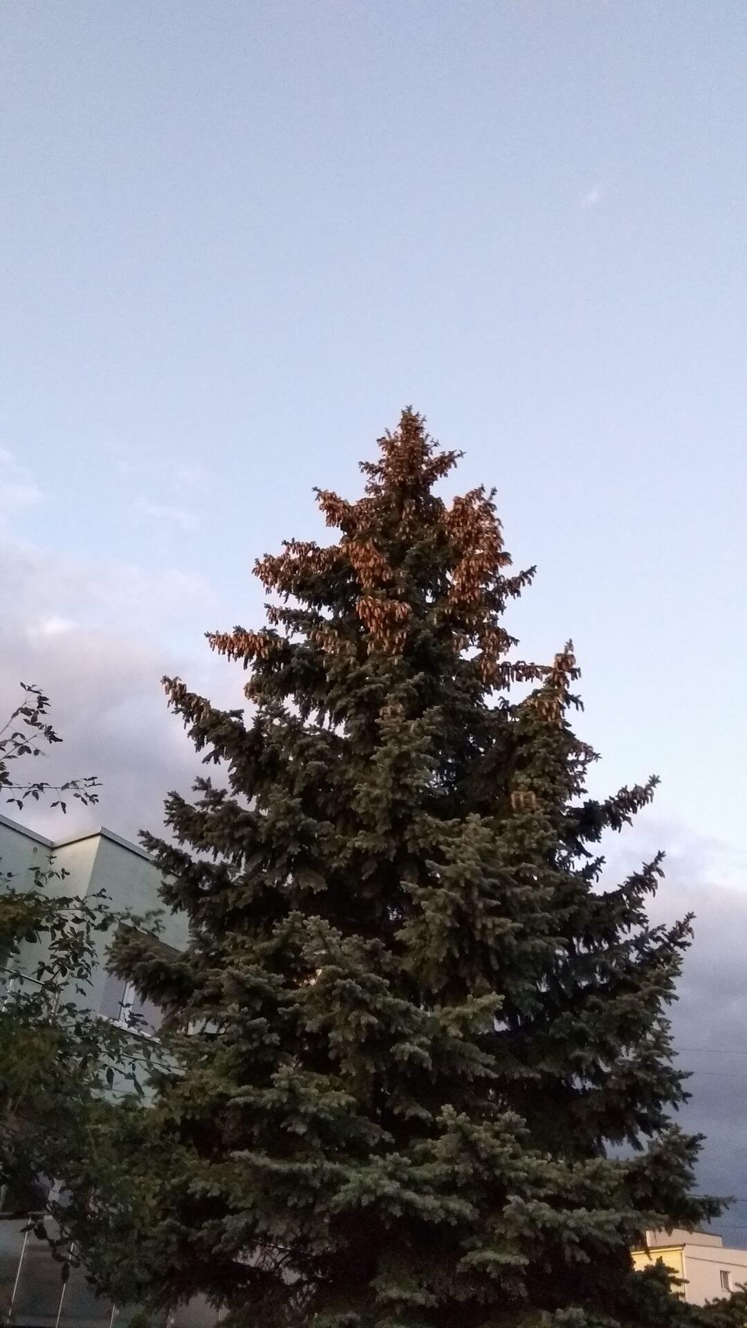 Recenzja Xiaomi Redmi Note 5A Prime- większego budżetowca z Chin 21 Recenzja Xiaomi Redmi Note 5A Prime- większego budżetowca z Chin