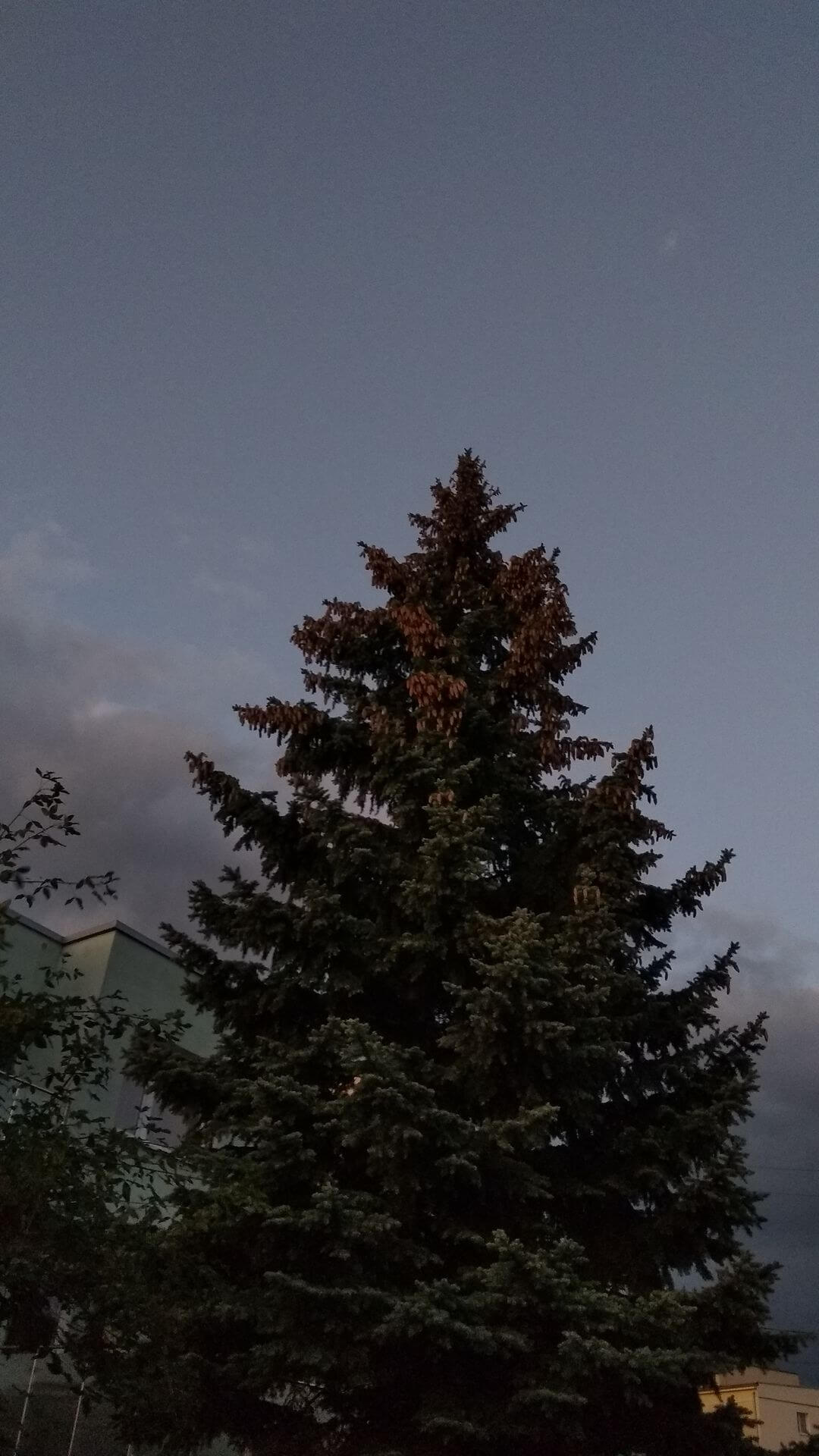 Recenzja Xiaomi Redmi Note 5A Prime- większego budżetowca z Chin 22 Recenzja Xiaomi Redmi Note 5A Prime- większego budżetowca z Chin