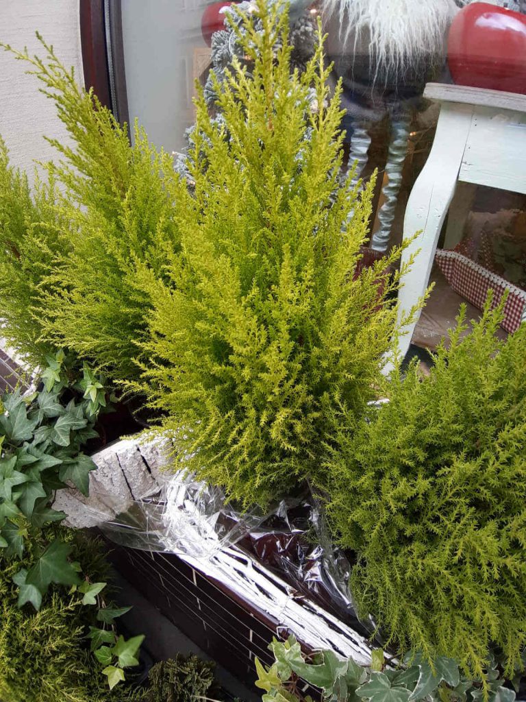 Recenzja Samsung Galaxy A7 (2018) - test możliwości samsungowej hatterii 42 Samsung Galaxy A7 zdjęcia