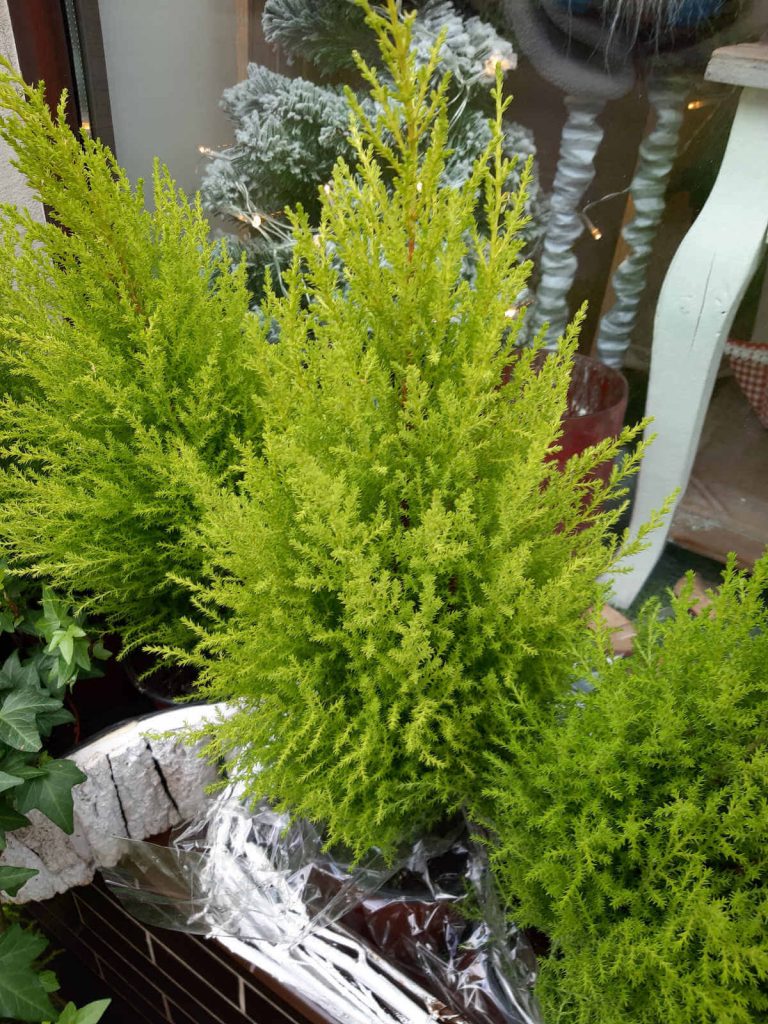 Recenzja Samsung Galaxy A7 (2018) - test możliwości samsungowej hatterii 41 Samsung Galaxy A7 zdjęcia