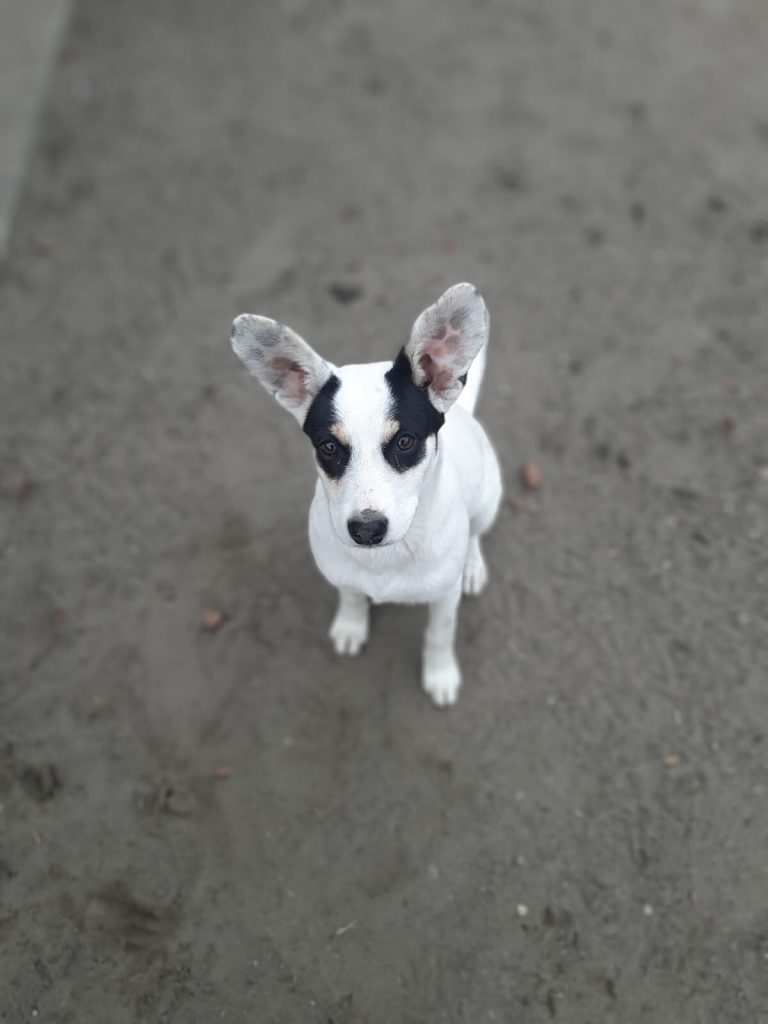 Recenzja Samsung Galaxy A7 (2018) - test możliwości samsungowej hatterii 43 Samsung Galaxy A7 zdjęcia