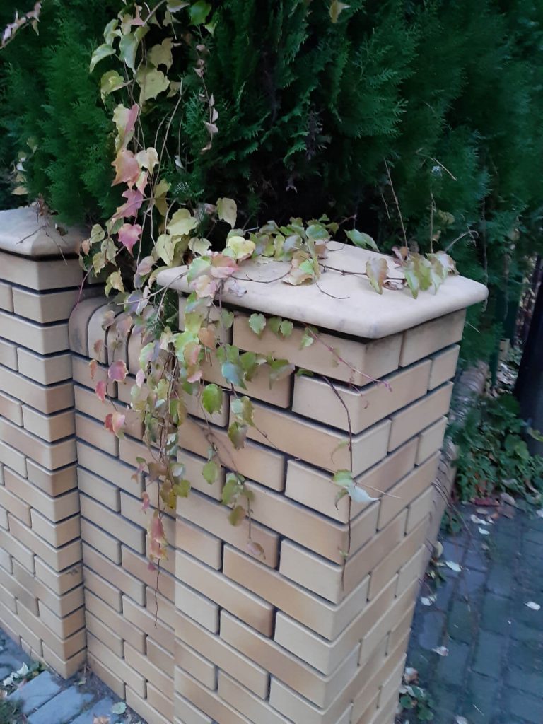 Recenzja Samsung Galaxy A7 (2018) - test możliwości samsungowej hatterii 45 Samsung Galaxy A7 zdjęcia