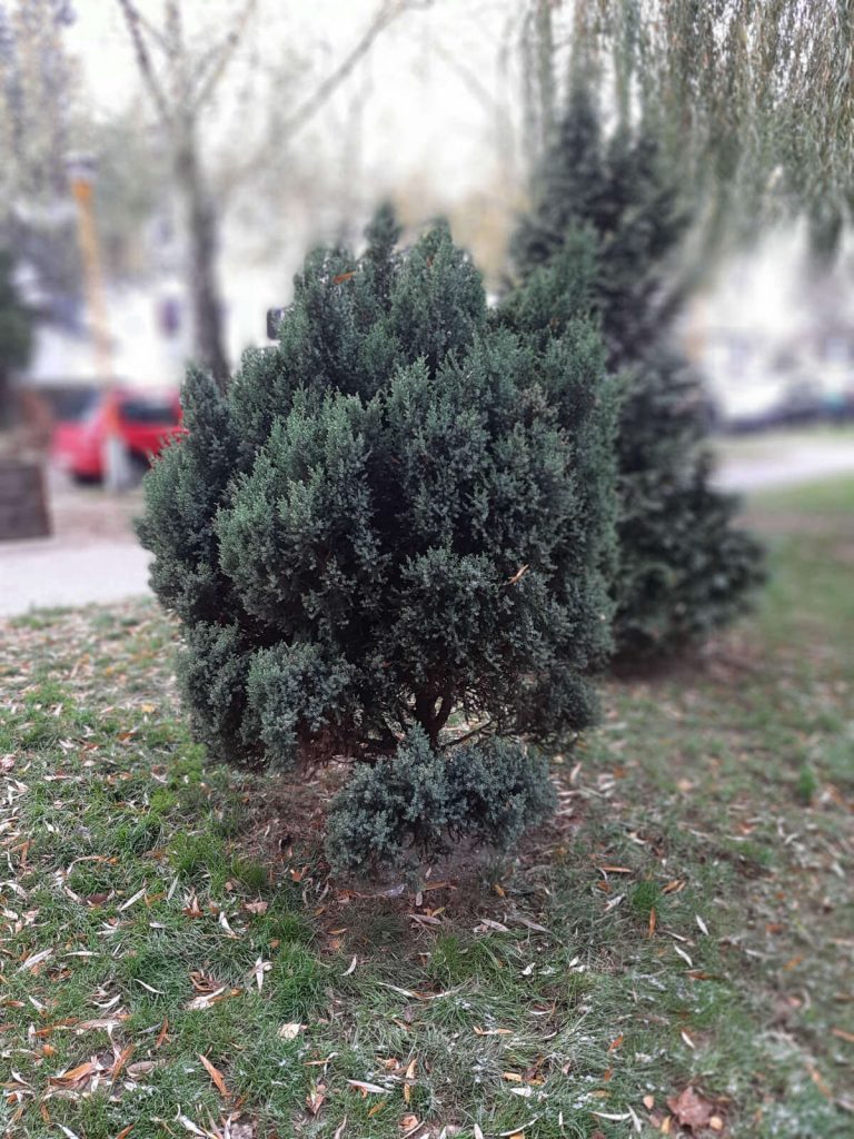 Recenzja Samsung Galaxy A7 (2018) - test możliwości samsungowej hatterii 47 Samsung Galaxy A7 zdjęcia