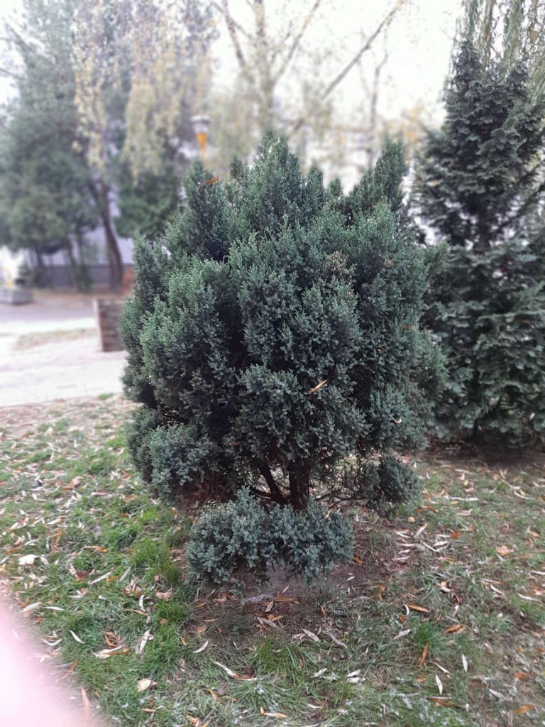 Recenzja Samsung Galaxy A7 (2018) - test możliwości samsungowej hatterii 48 Samsung Galaxy A7 zdjęcia