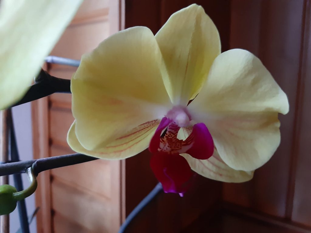 Recenzja Samsung Galaxy A7 (2018) - test możliwości samsungowej hatterii 49 Samsung Galaxy A7 zdjęcia