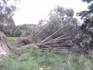 Recenzja UMi Plus E: smartfona z 6GB pamięci RAM 30 UMi Plus E