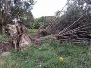 Recenzja UMi Plus E: smartfona z 6GB pamięci RAM 31 UMi Plus E