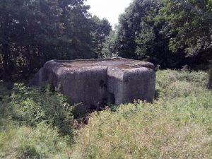 Recenzja UMi Plus E: smartfona z 6GB pamięci RAM 32 UMi Plus E