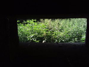 Recenzja UMi Plus E: smartfona z 6GB pamięci RAM 37 UMi Plus E