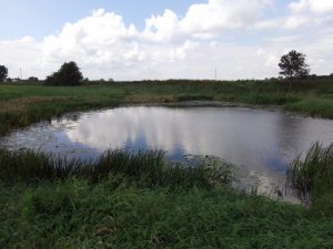 Recenzja UMi Plus E: smartfona z 6GB pamięci RAM 38 UMi Plus E