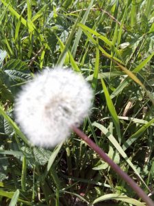 Recenzja UMi Plus E: smartfona z 6GB pamięci RAM 41 UMi Plus E