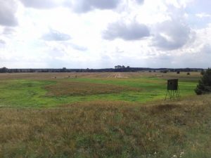 Recenzja UMi Plus E: smartfona z 6GB pamięci RAM 42 UMi Plus E