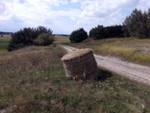 Recenzja UMi Plus E: smartfona z 6GB pamięci RAM 43 UMi Plus E