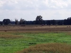 Recenzja UMi Plus E: smartfona z 6GB pamięci RAM 44 UMi Plus E