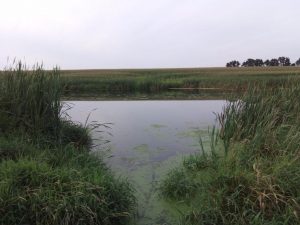 Recenzja UMi Plus E: smartfona z 6GB pamięci RAM 47 UMi Plus E