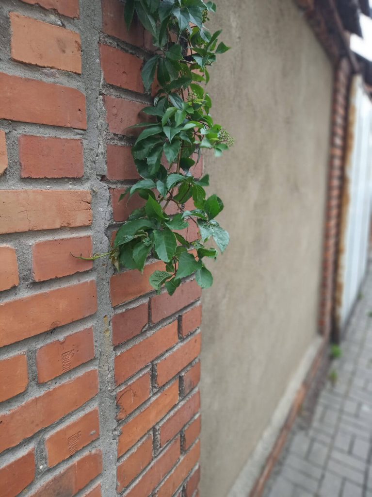 Recenzja Xiaomi Redmi 6 - wielki powrót Mediateka do serii Redmi? 26 redmi 6 zdjęcia