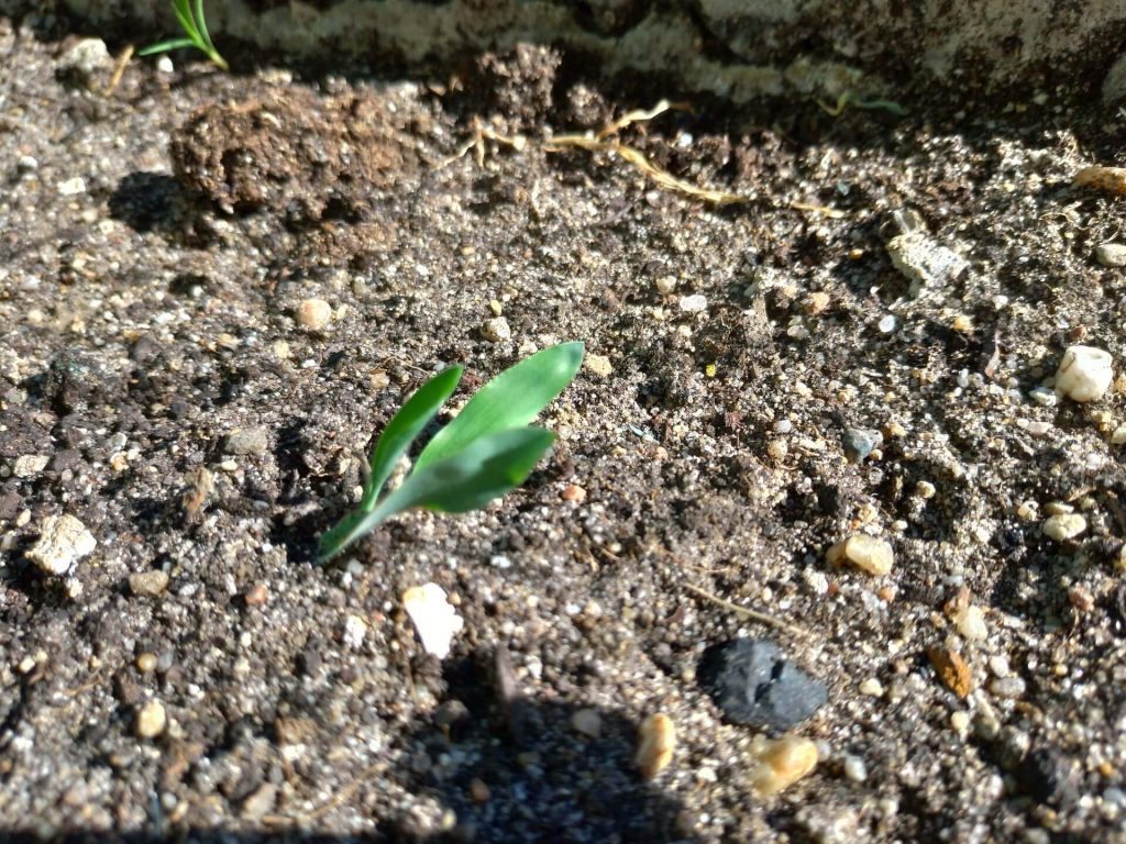 Recenzja ASUS ZenFone 5 - telefonu, który naprawdę wypada dobrze 46 Recenzja ASUS ZenFone 5 - telefonu, który naprawdę wypada dobrze