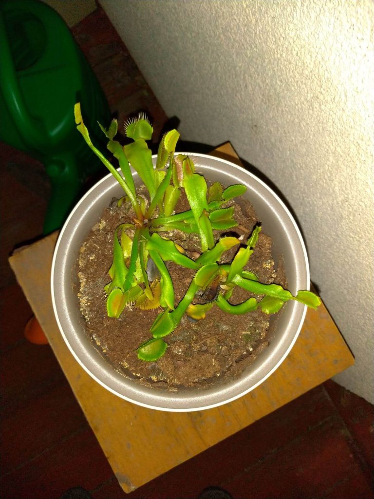 Recenzja ASUS ZenFone 5 - telefonu, który naprawdę wypada dobrze 39 Recenzja ASUS ZenFone 5 - telefonu, który naprawdę wypada dobrze